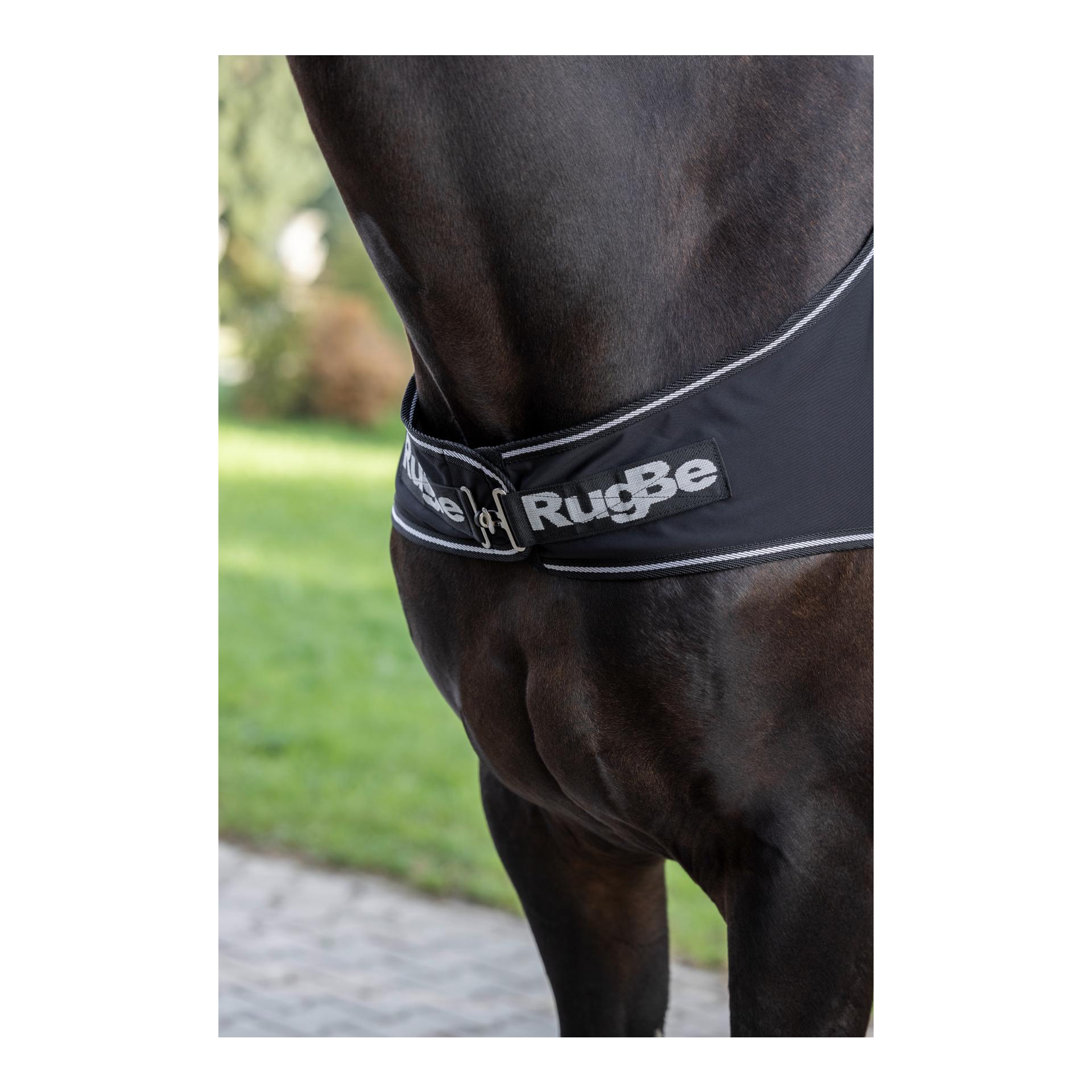 Führanlagendecke RugBe