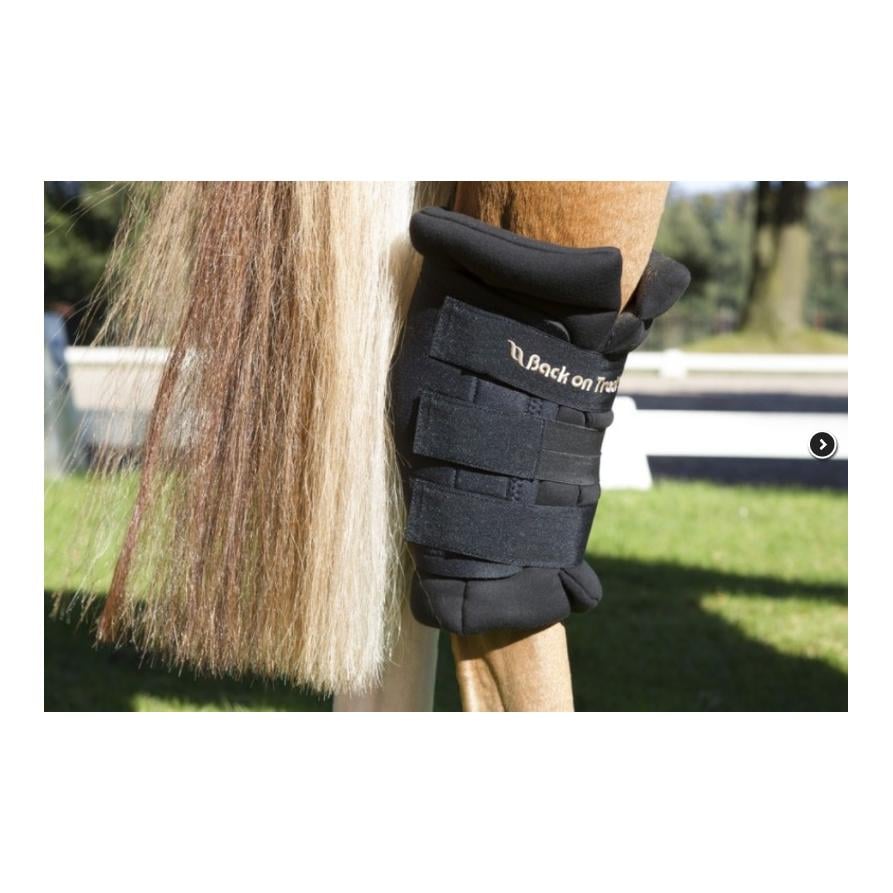 Royal Sprunggelenkschoner (Paar) - schwarz