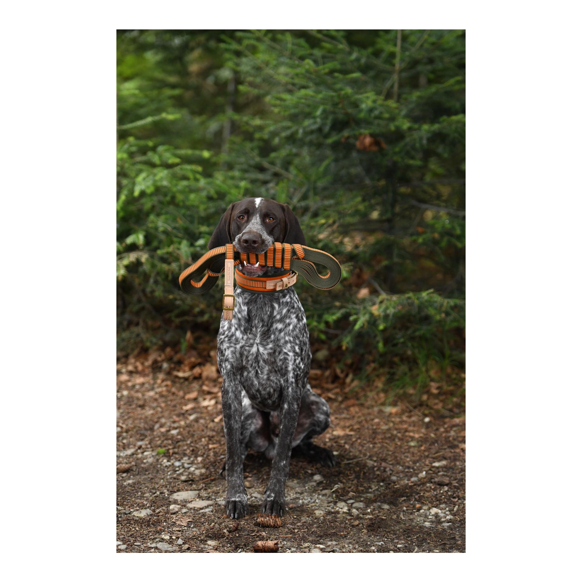 Schweissriemen 20 mm