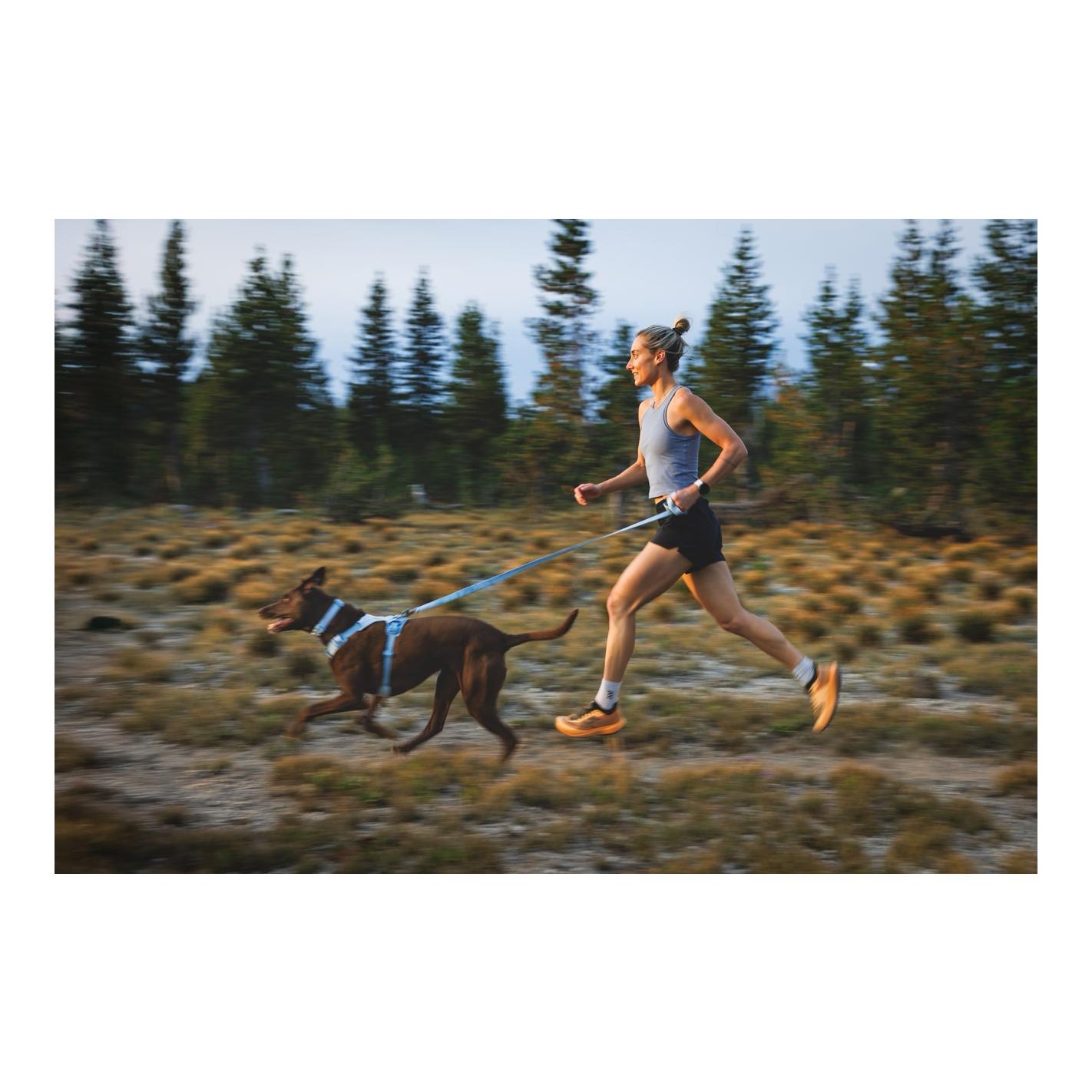 Ruffwear Front Range™ Flex Hundehalsband