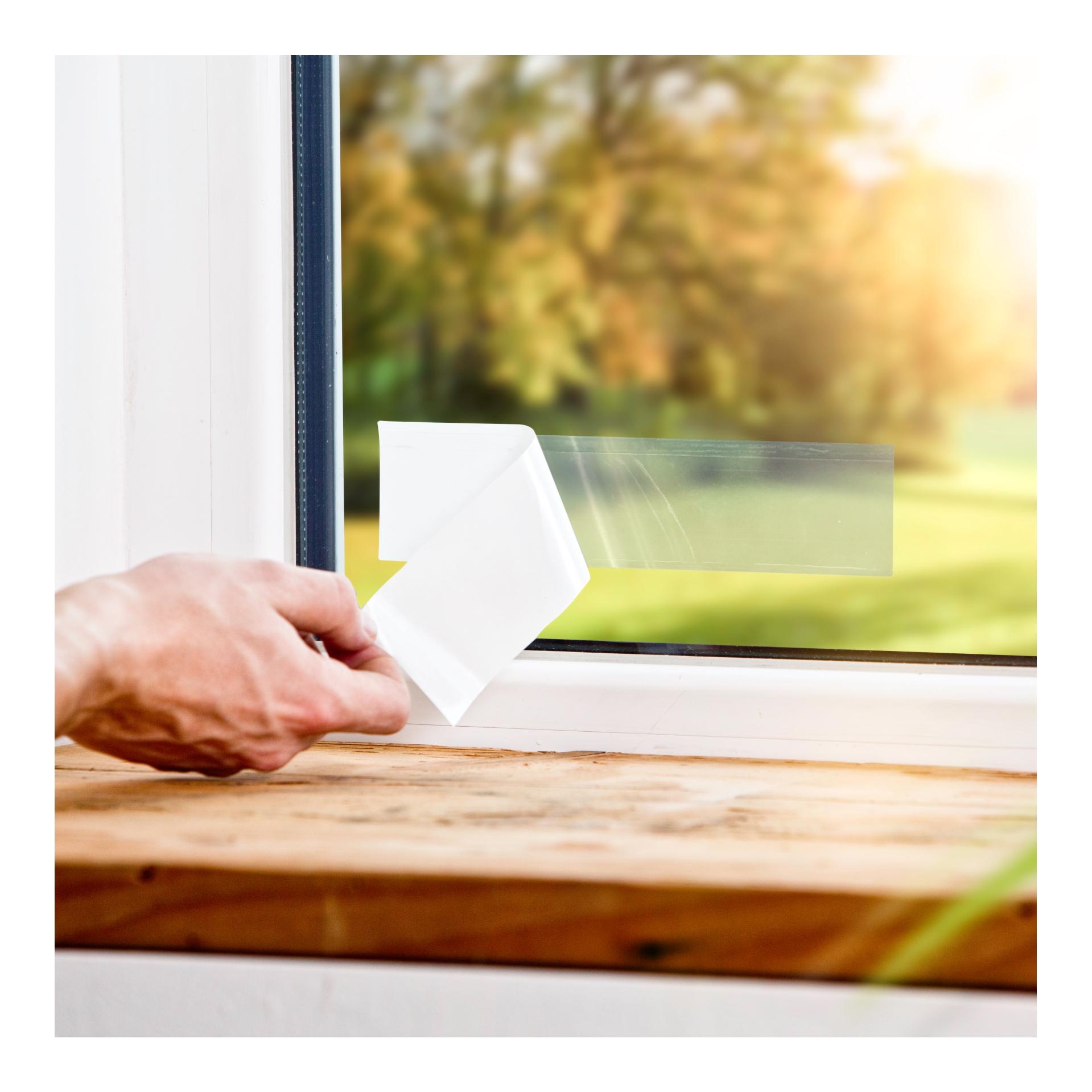 Fenster-Fliegenfalle