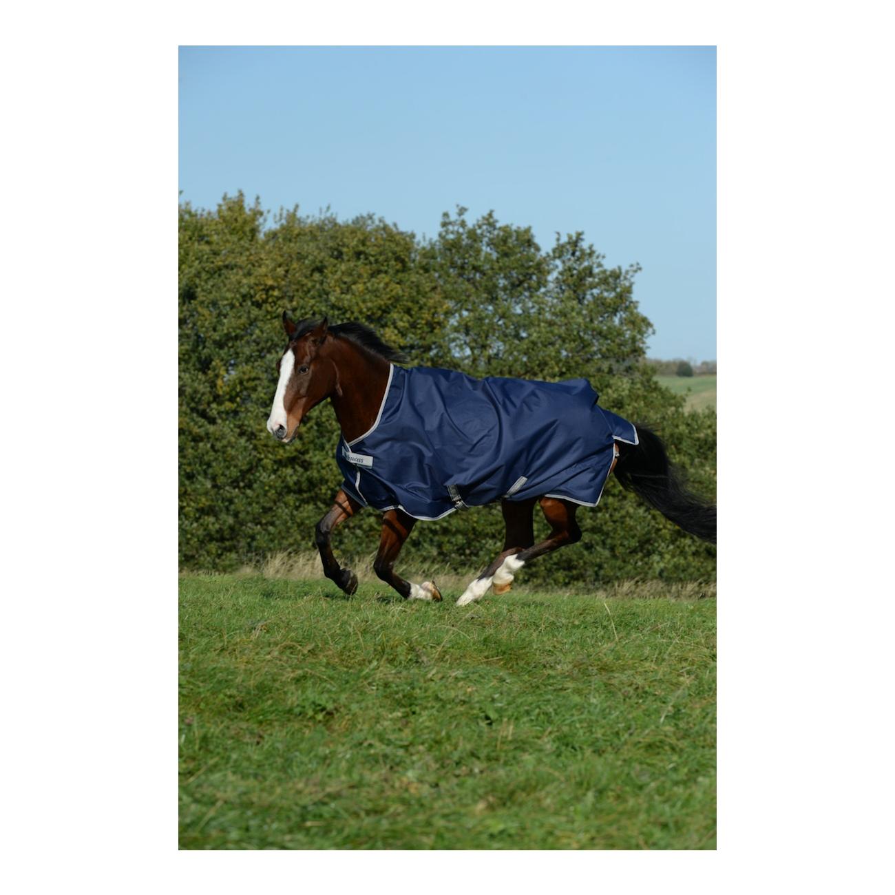 Weidedecke Freedom Turnout High Neck Light - navy/silver