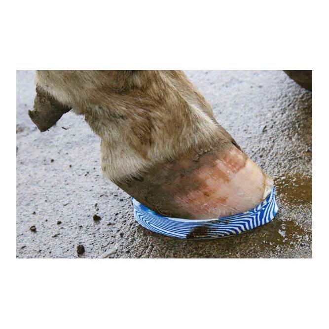 Walkease Ersatzblock