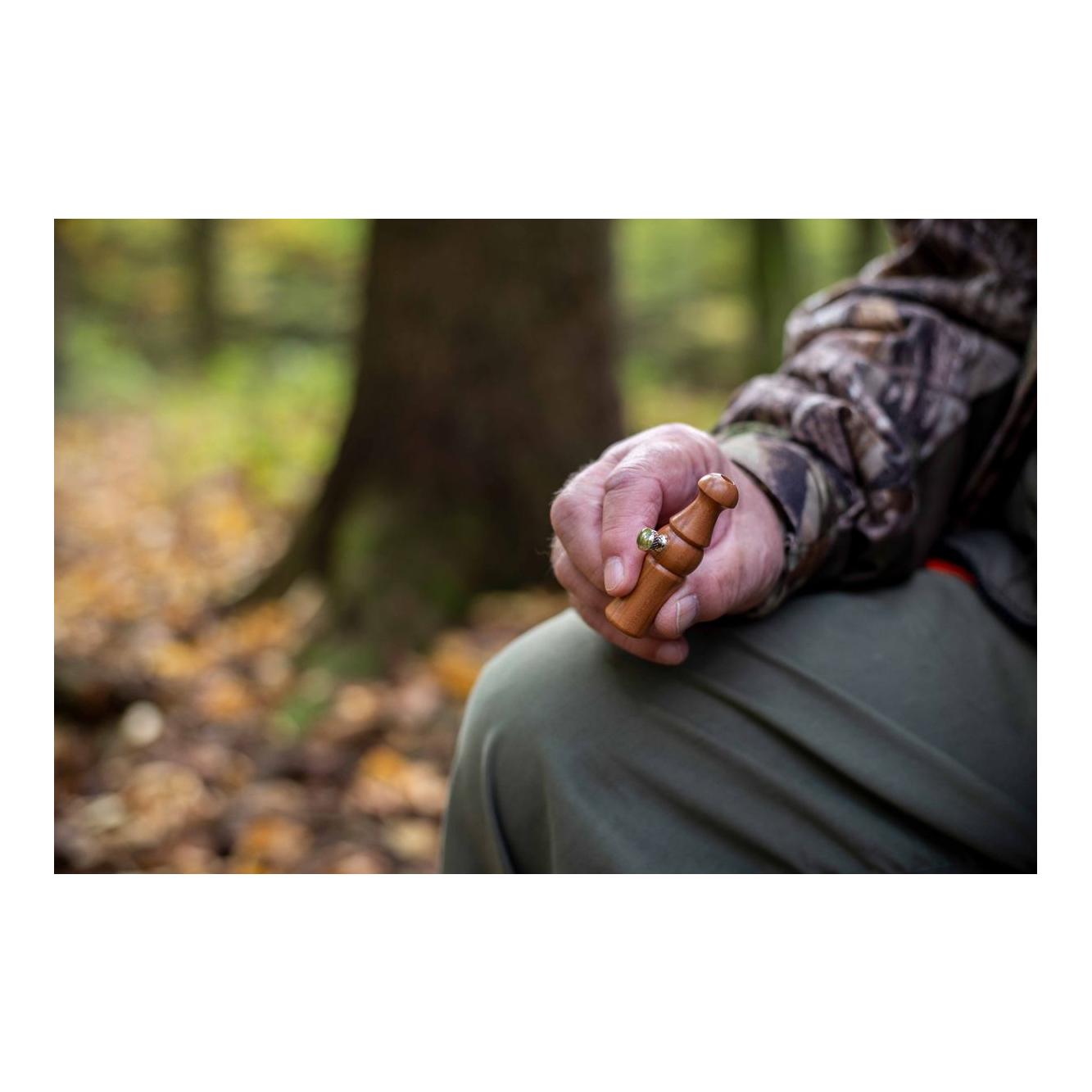 Fiep - piu - Blatter