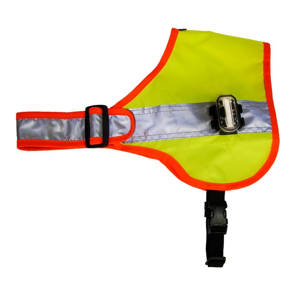 Hundeleuchtdecke Balou LED