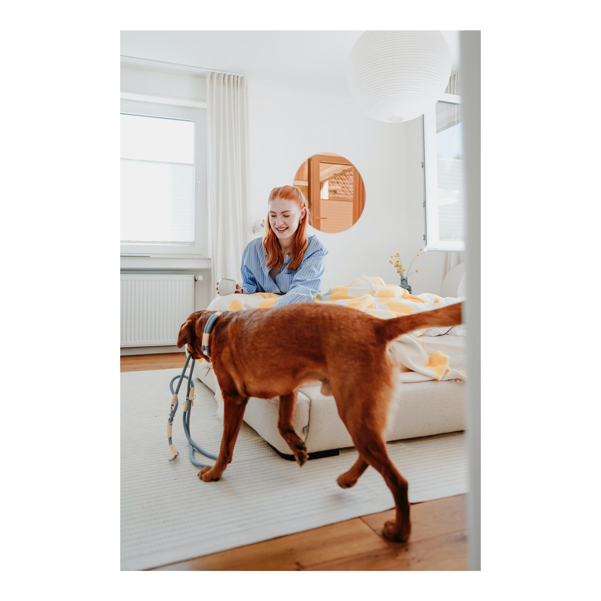 Verstellbare Leine Malia