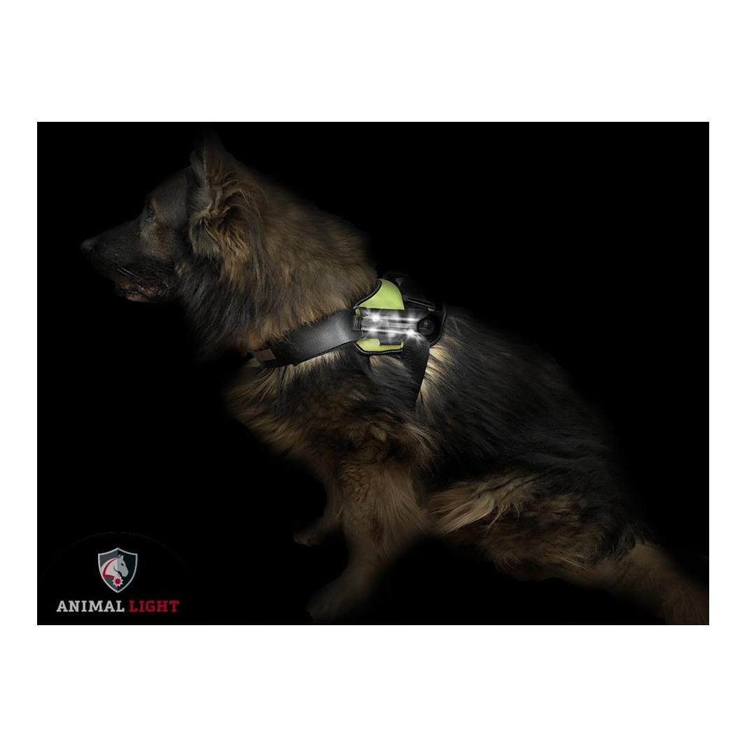 Leucht - Hundegeschirr "Flex" - weiss