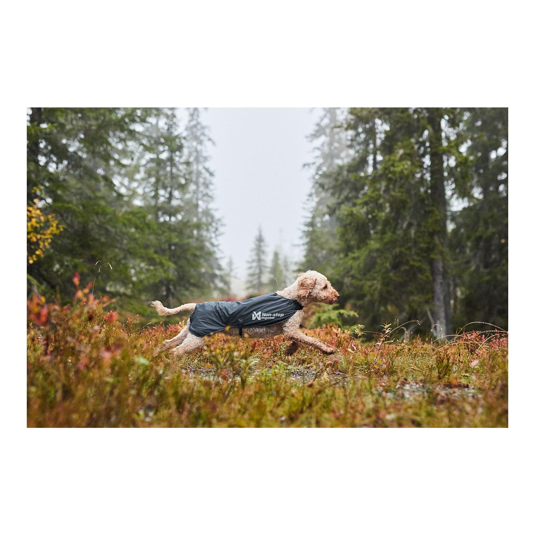 Hunderegenmantel Trail Light Dog Jacket