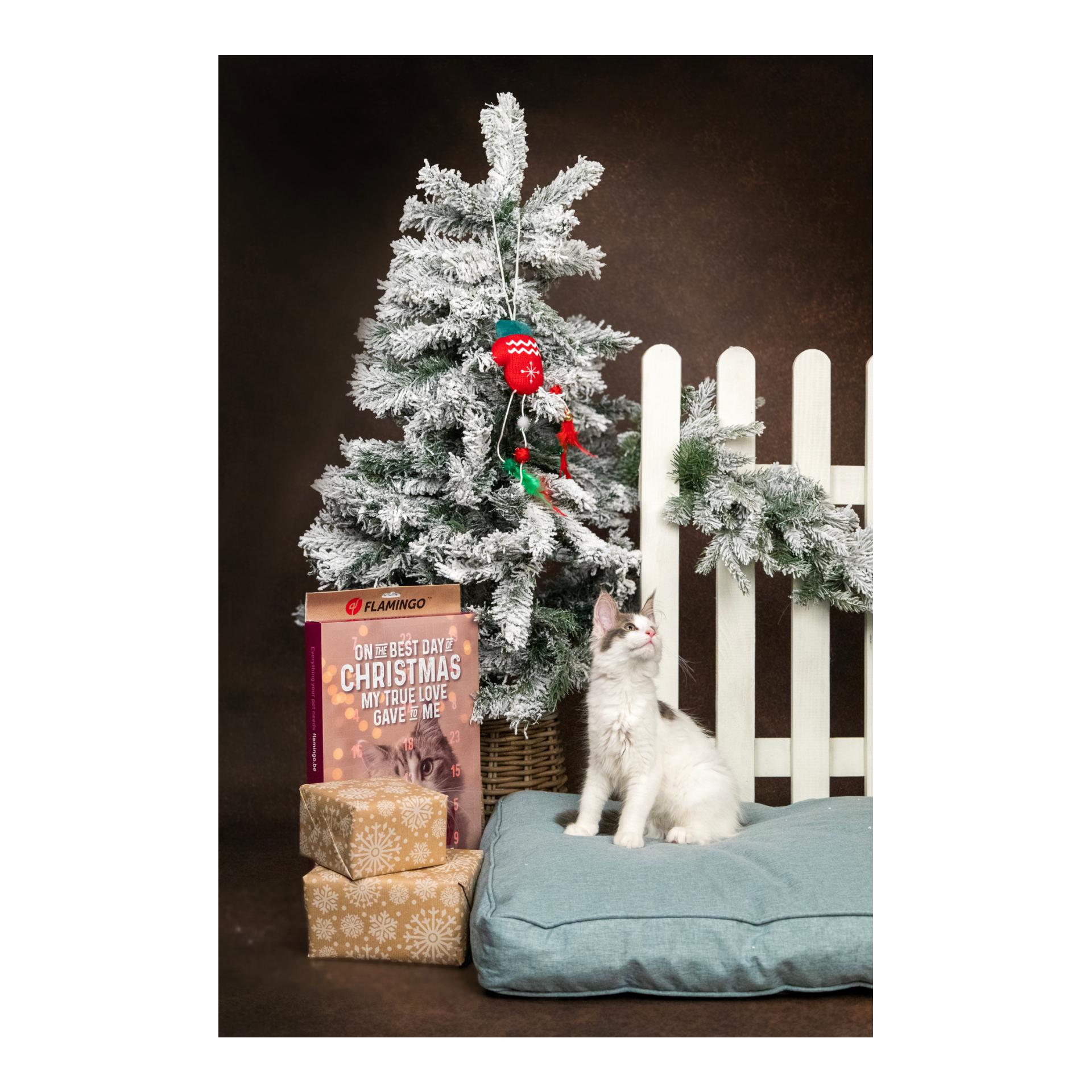 Adventskalender Katze - CHRISTMAS CALENDAR CHICK’N SNACK CAT