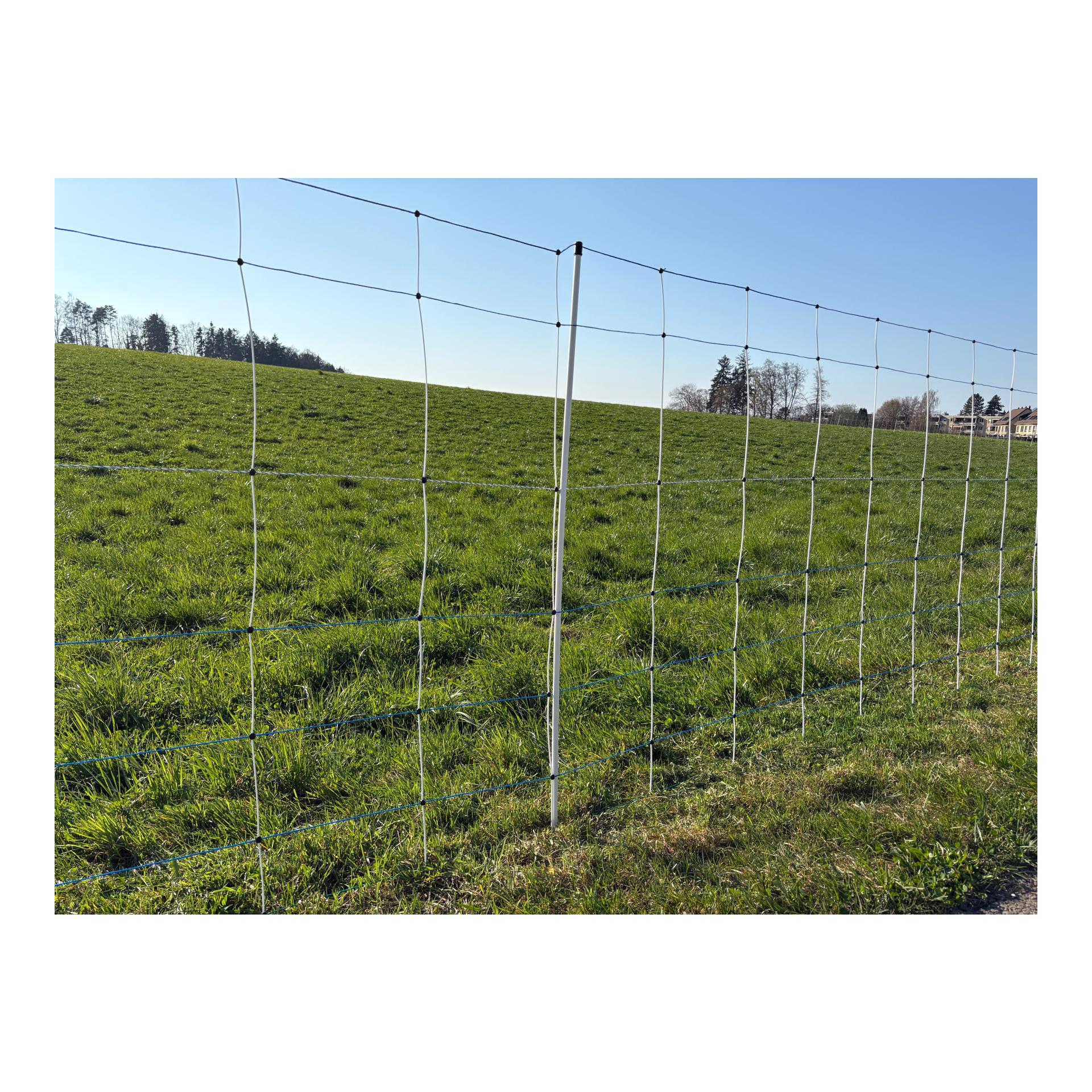 Hauptner Filet en osier "Primaflex Alpin" - pointe simple