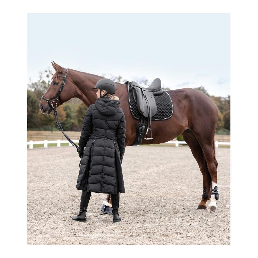 Schabracke Felix Glam