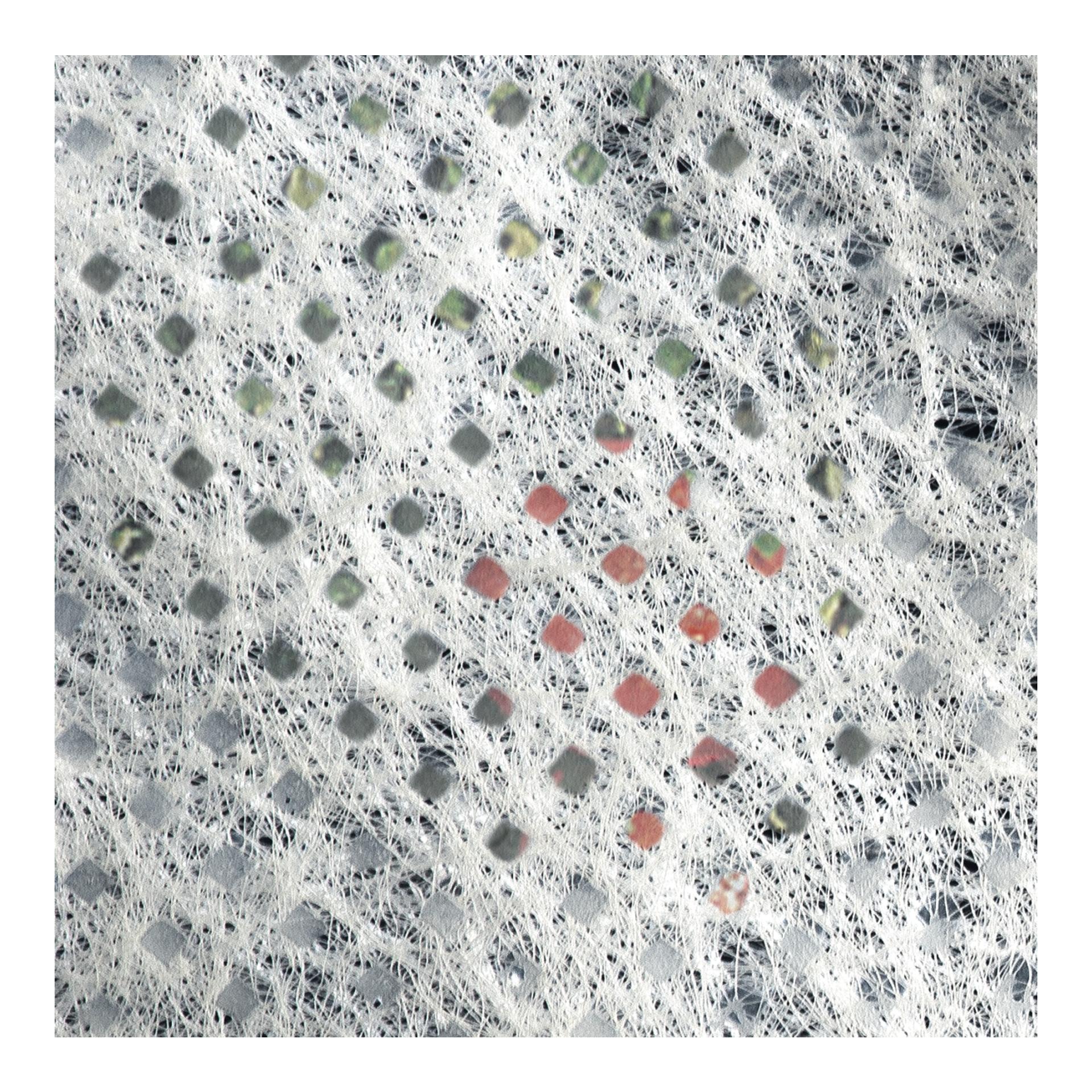 Windhager Non-tissé pour tomates classic