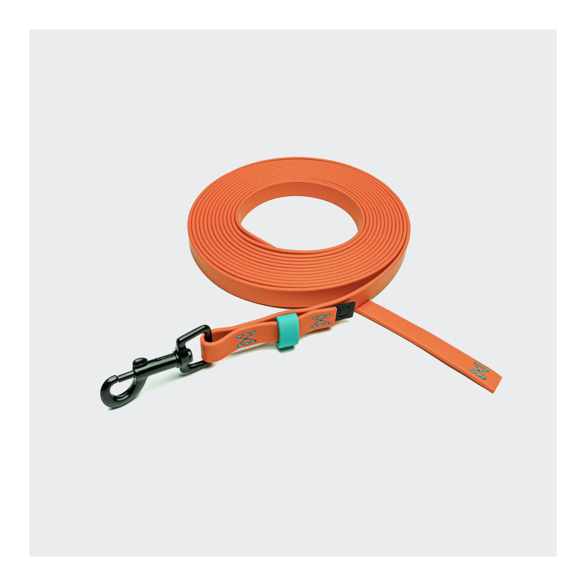 Laisse à pister Ipanema