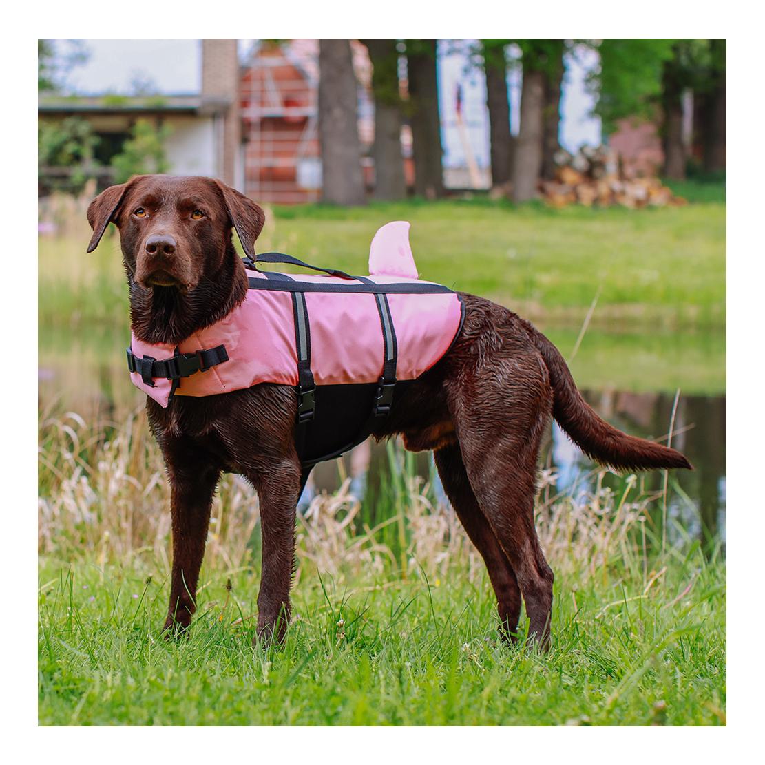 Aide à la natation pour chiens Shark