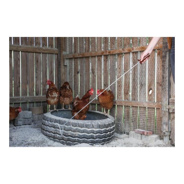 Fanghaken für Geflügel