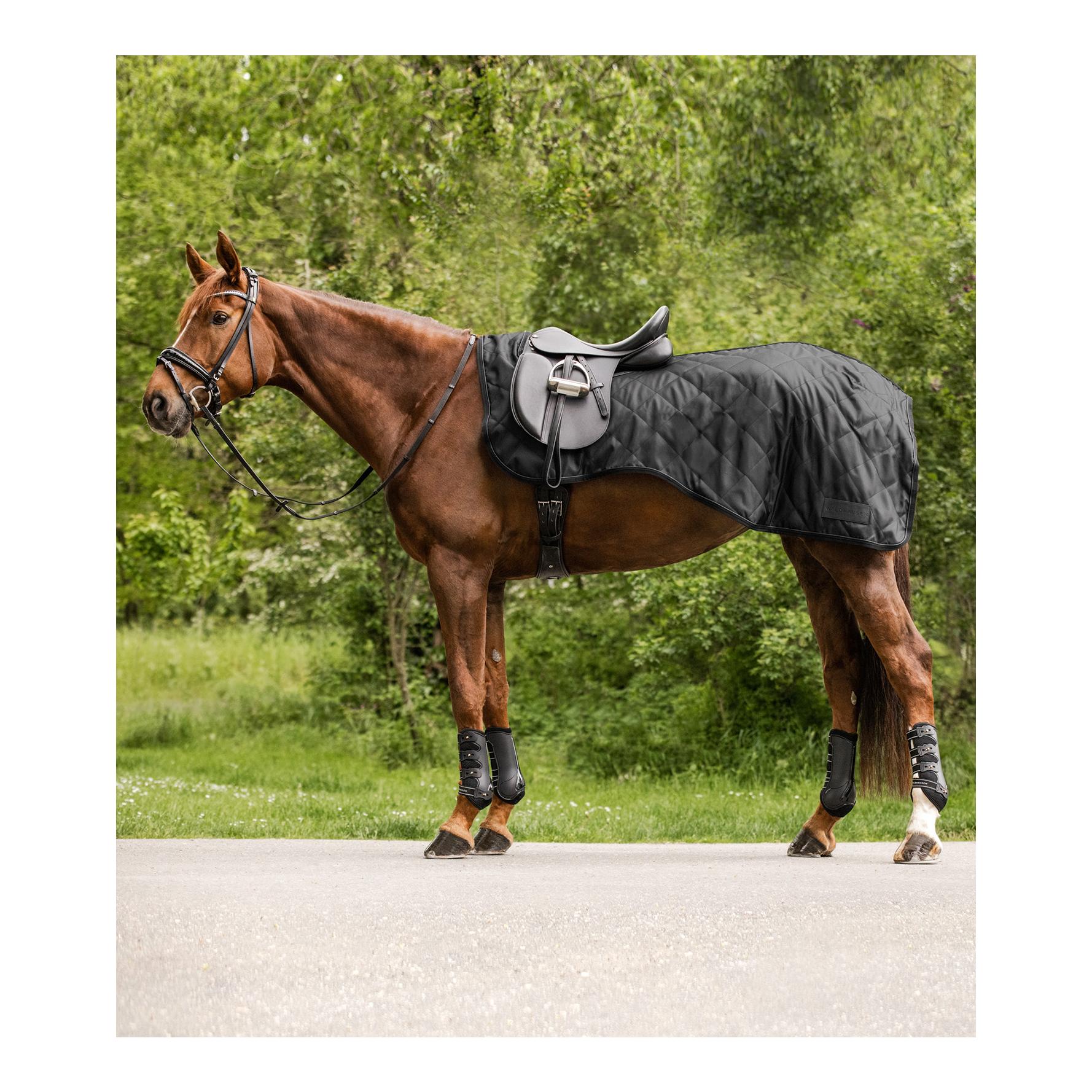 Nierendecke Exclusive