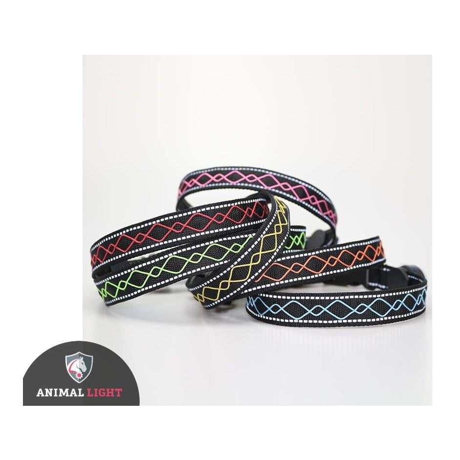 Leucht-Hundehalsband "Beauty"