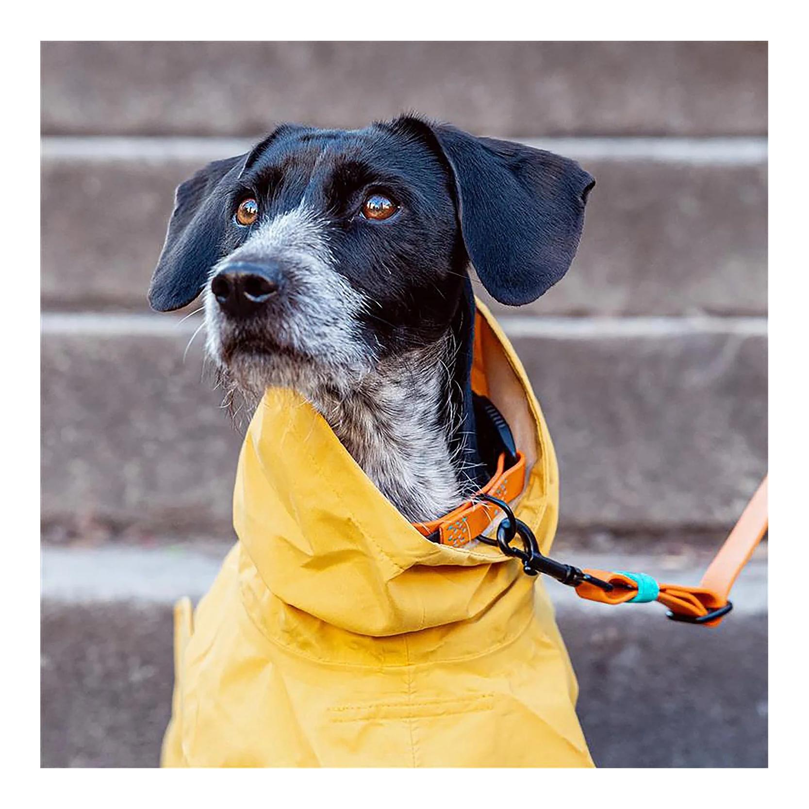 Hunderegenmantel Helgoland 