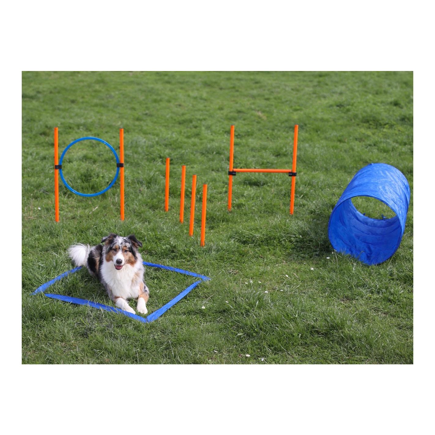 Agility Starter Set - Training für Hunde