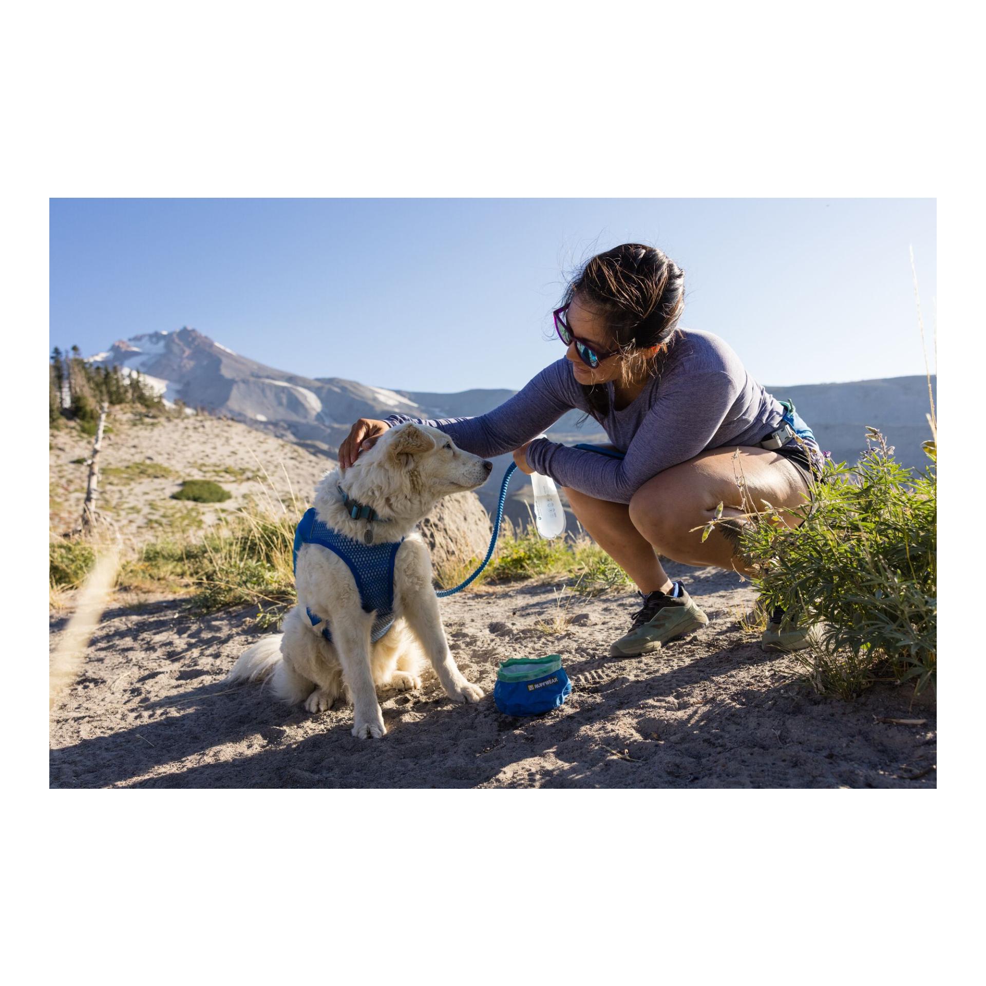 Trail Runner™ Leash Joggingleine