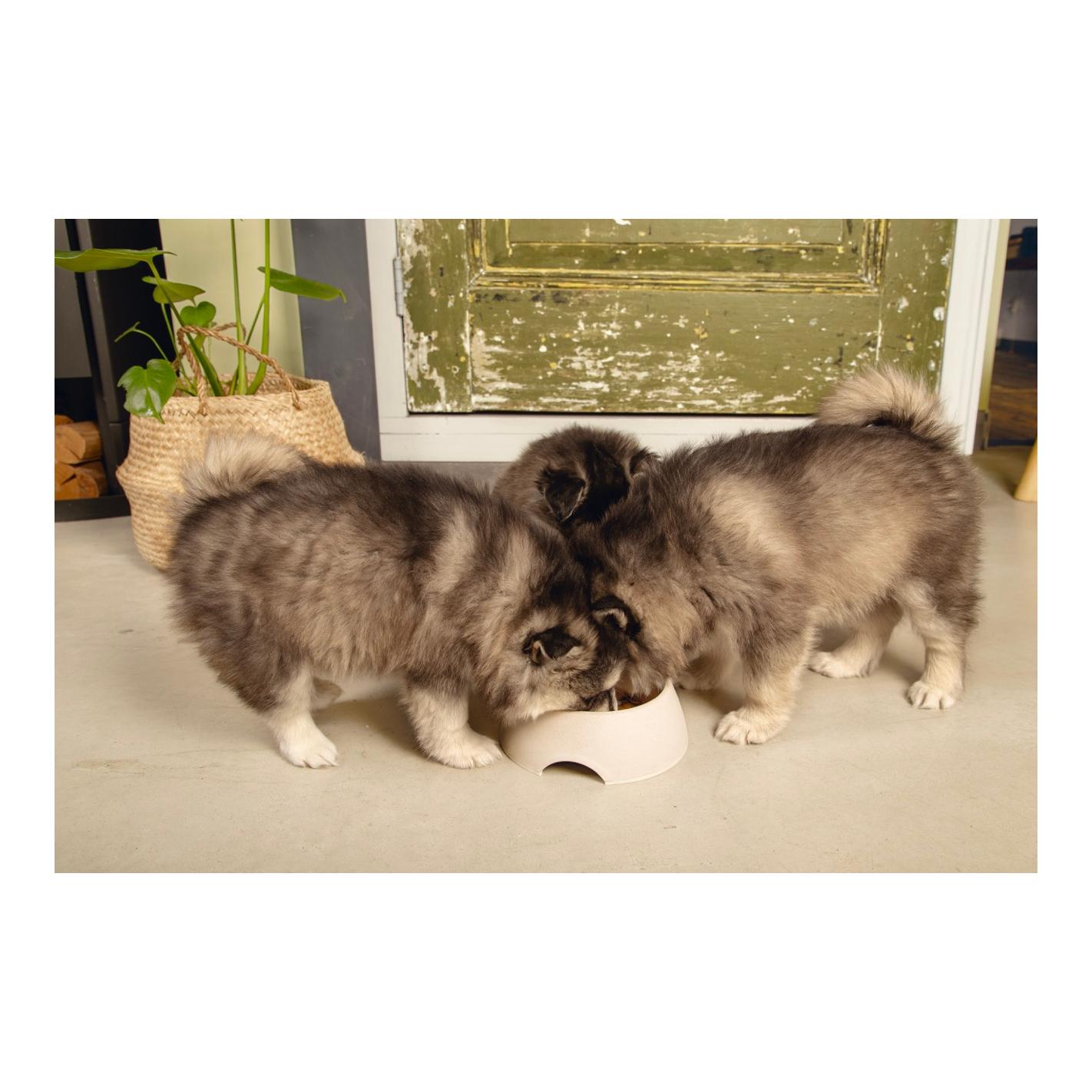 Futter-/Trinknapf Pipa