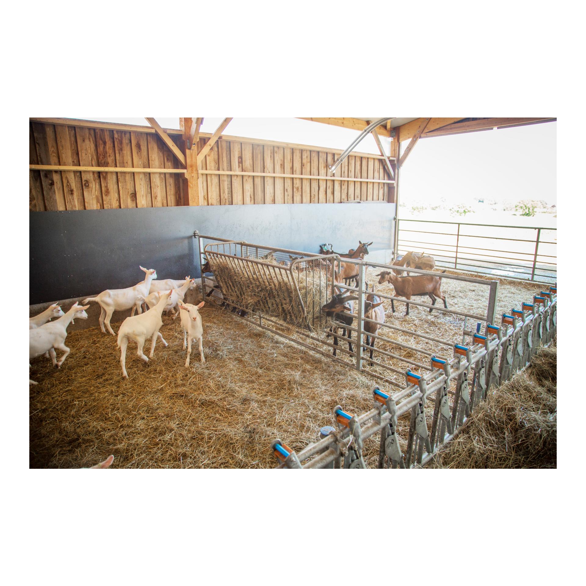 Futterraufe zum Einhängen