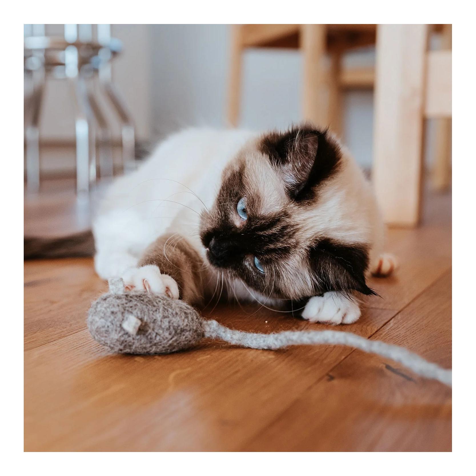 Katzenspielzeug Mousi long