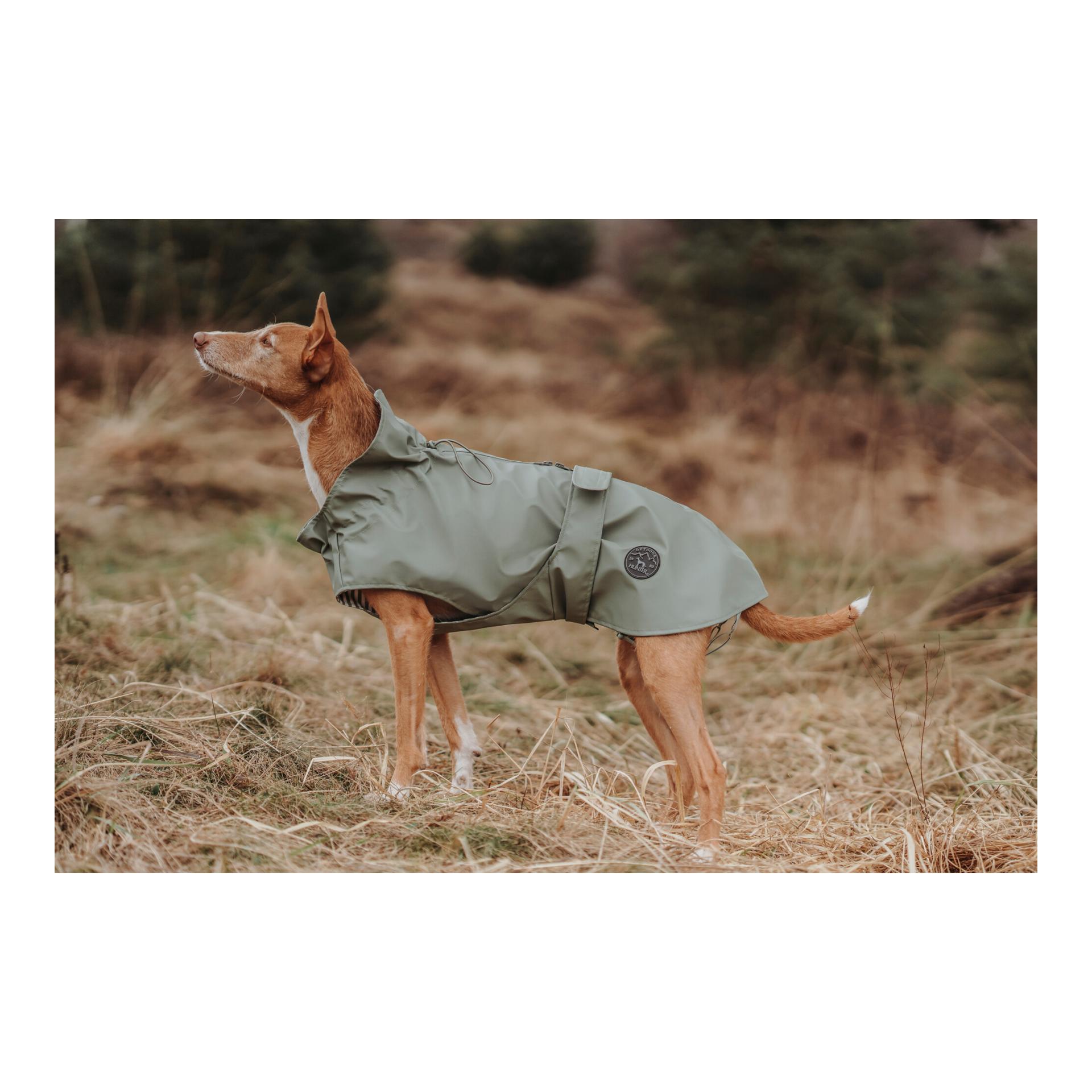 Hunderegenmantel Milford