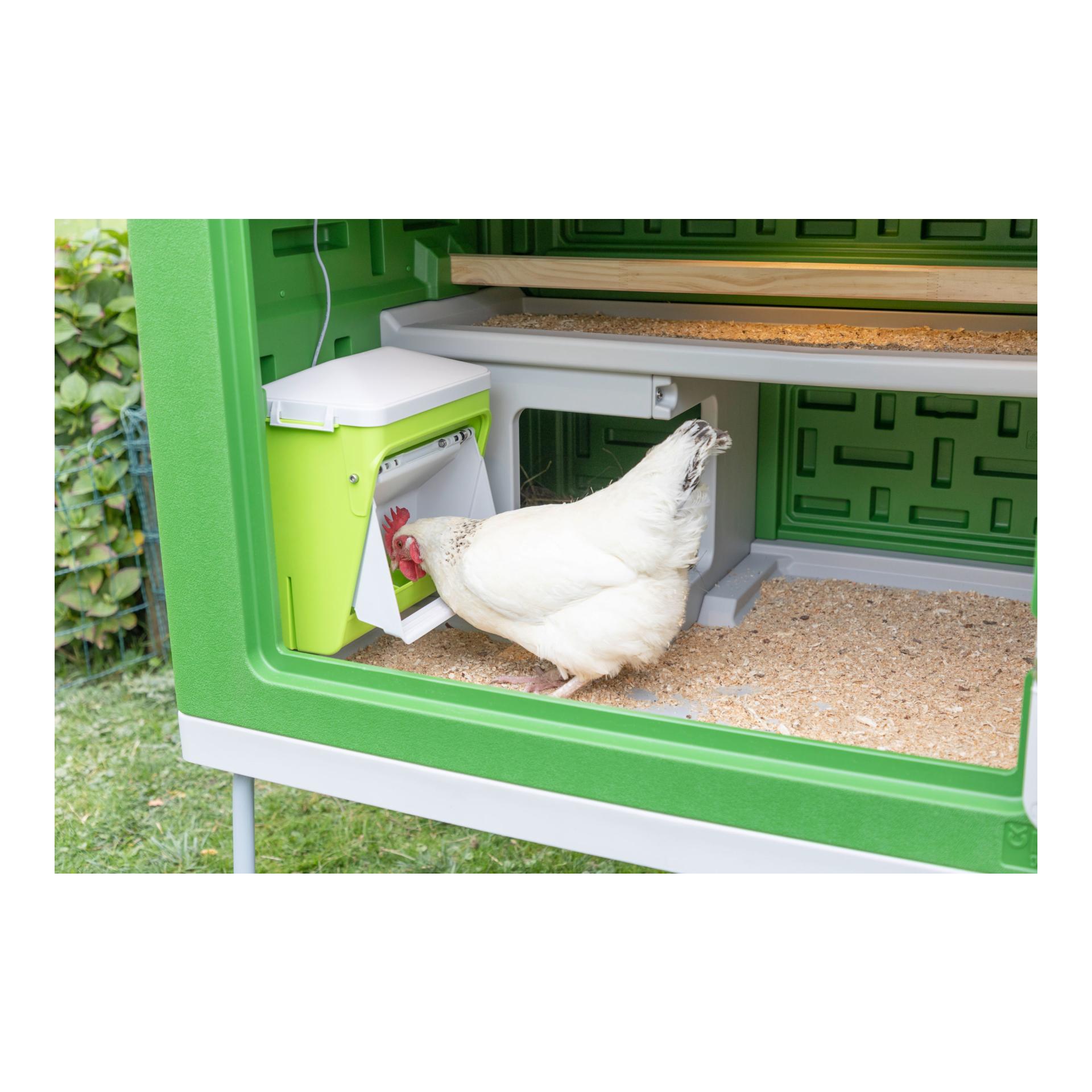 Futterautomat mit Schutzklappe