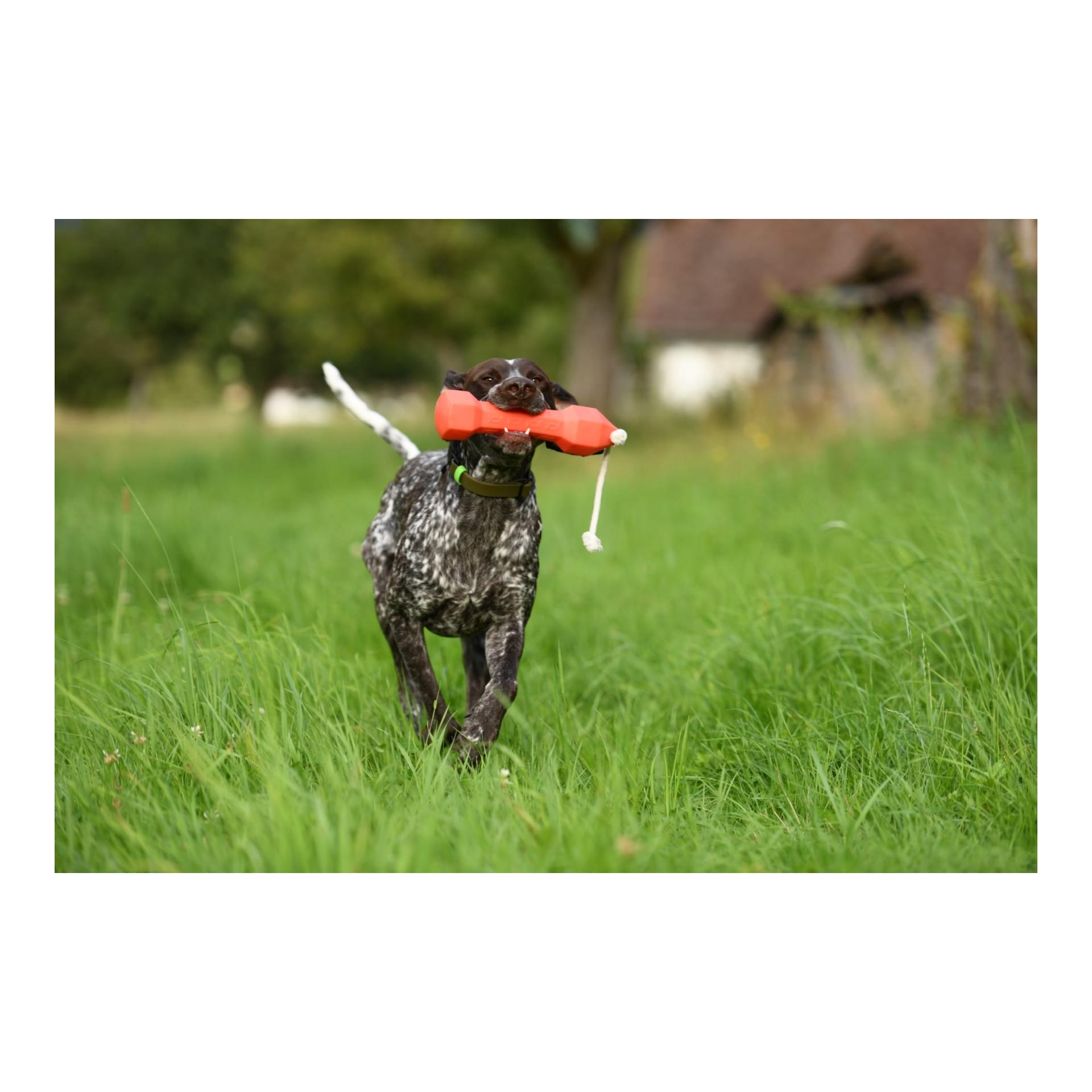 Apportierdummy Balance Bumper 320g