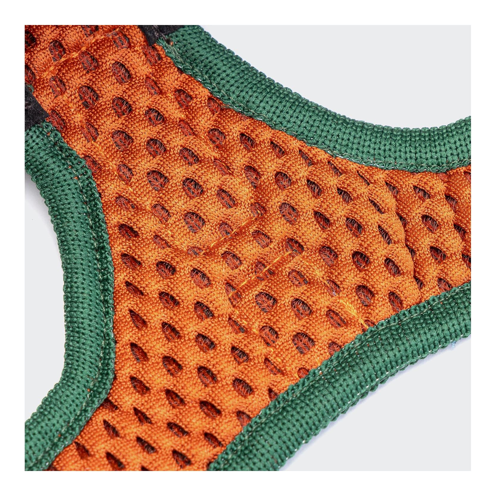 Cloud 7 Westengeschirr Holly Park Animals