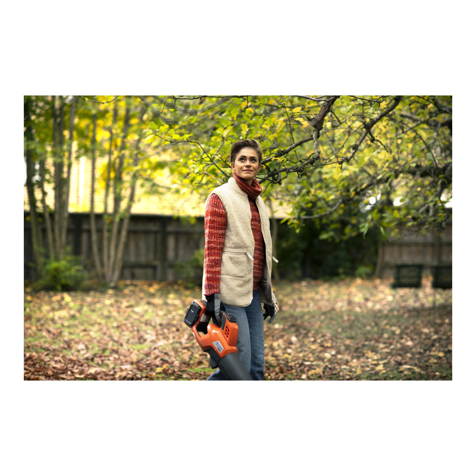 Akku - Laubbläser 230iB - mit Akku & Ladegerät