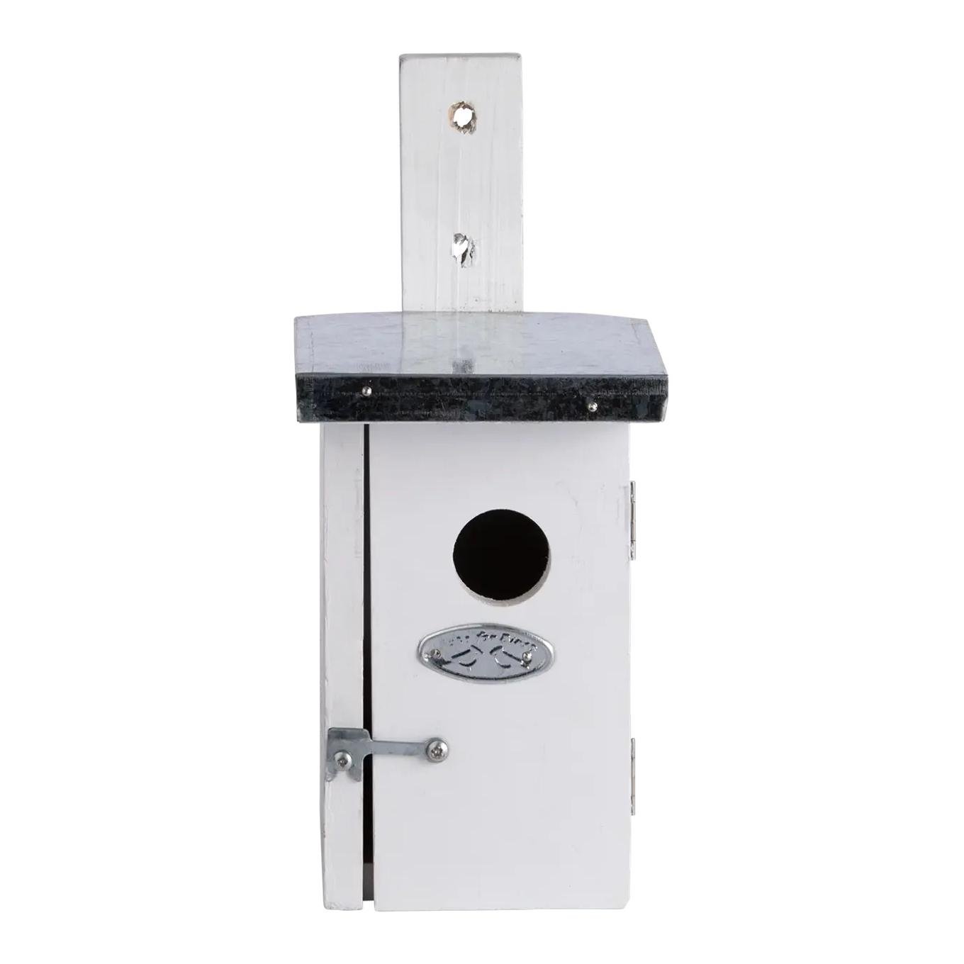 Nistkasten Zaunkönig