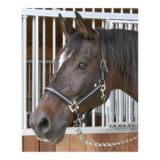 Image of Kerbl Halfter MUSTANG - schwarz/silber bei Hauptner.ch
