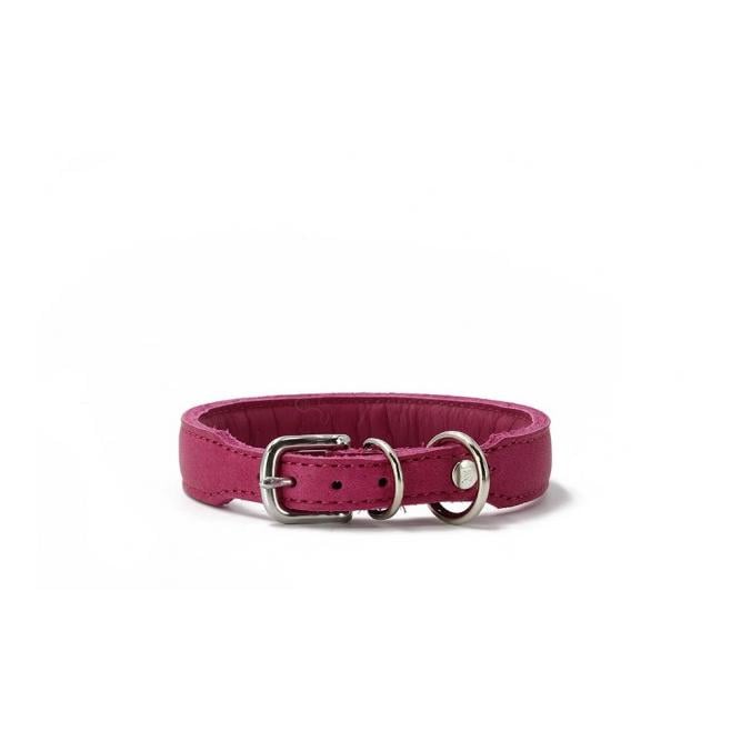 Hundehalsband Mono Pop