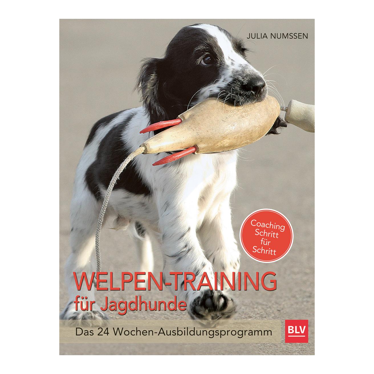 Image of BLV Welpen-Training für Jagdhunde bei Hauptner.ch