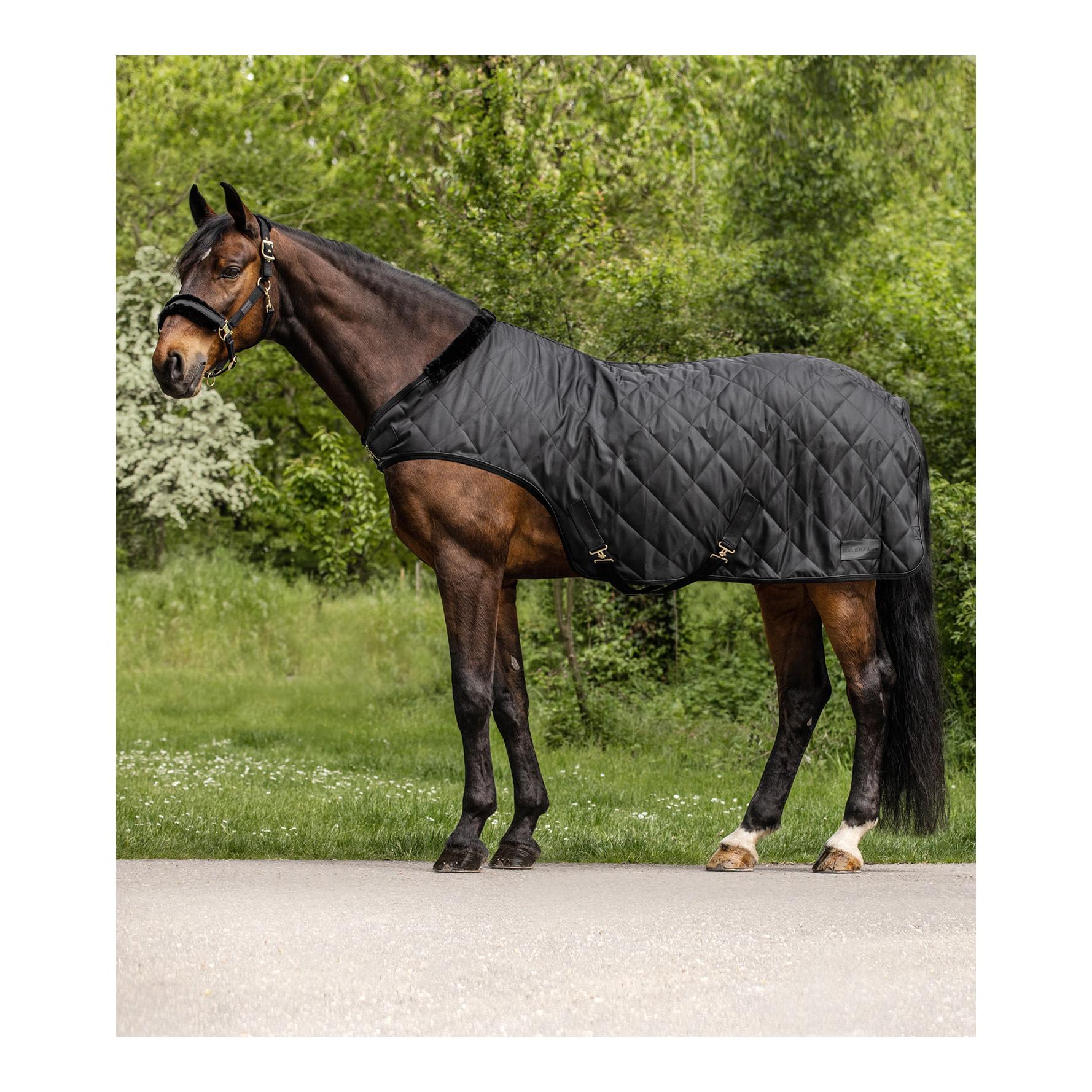 Führmaschinendecke Exclusive 50g