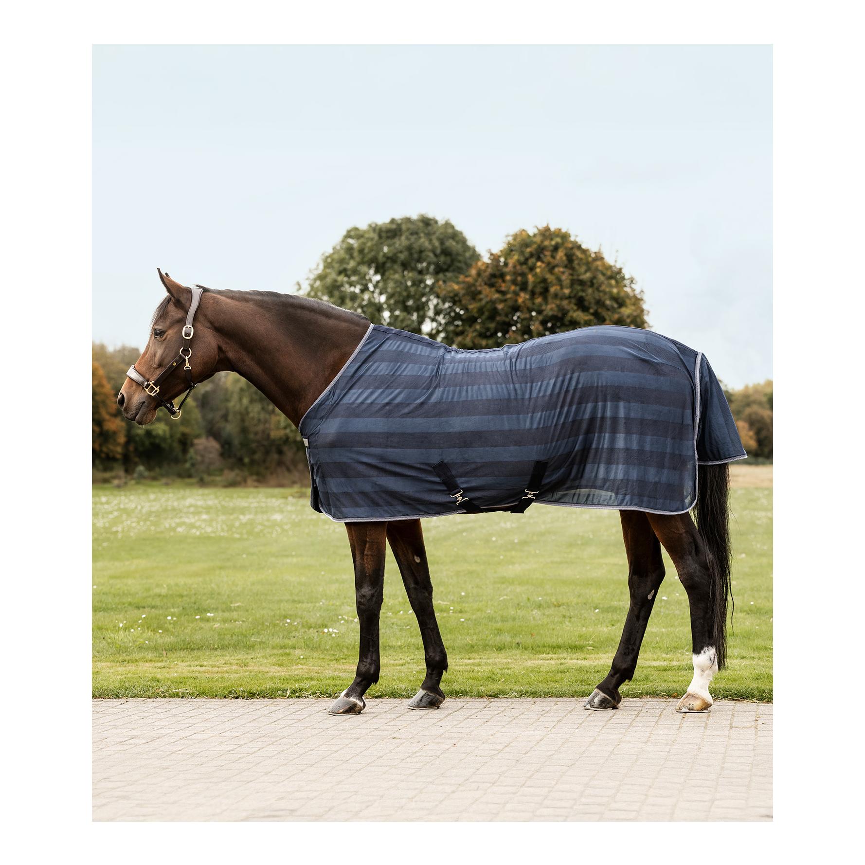 Fliegendecke Economic Kreuzbegurtung