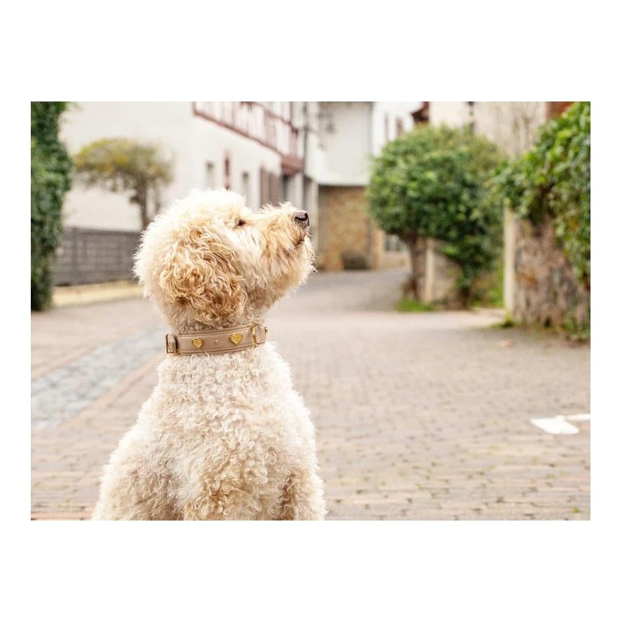 Maul Lederwaren Halsband Ciao Mama