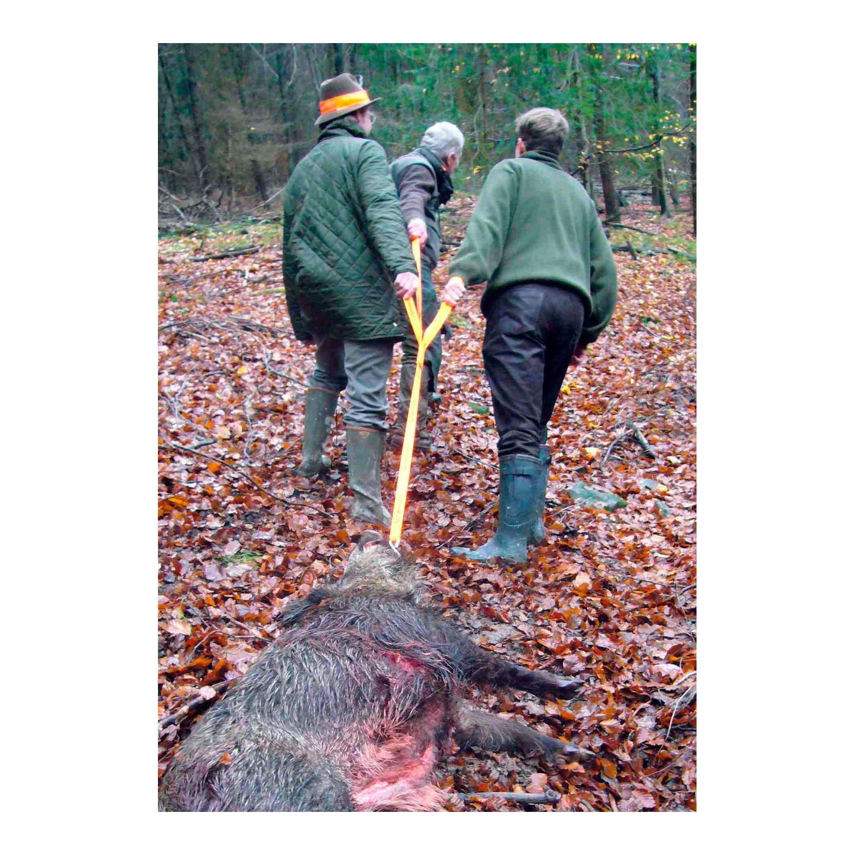 Dreizug Wildbergehilfe