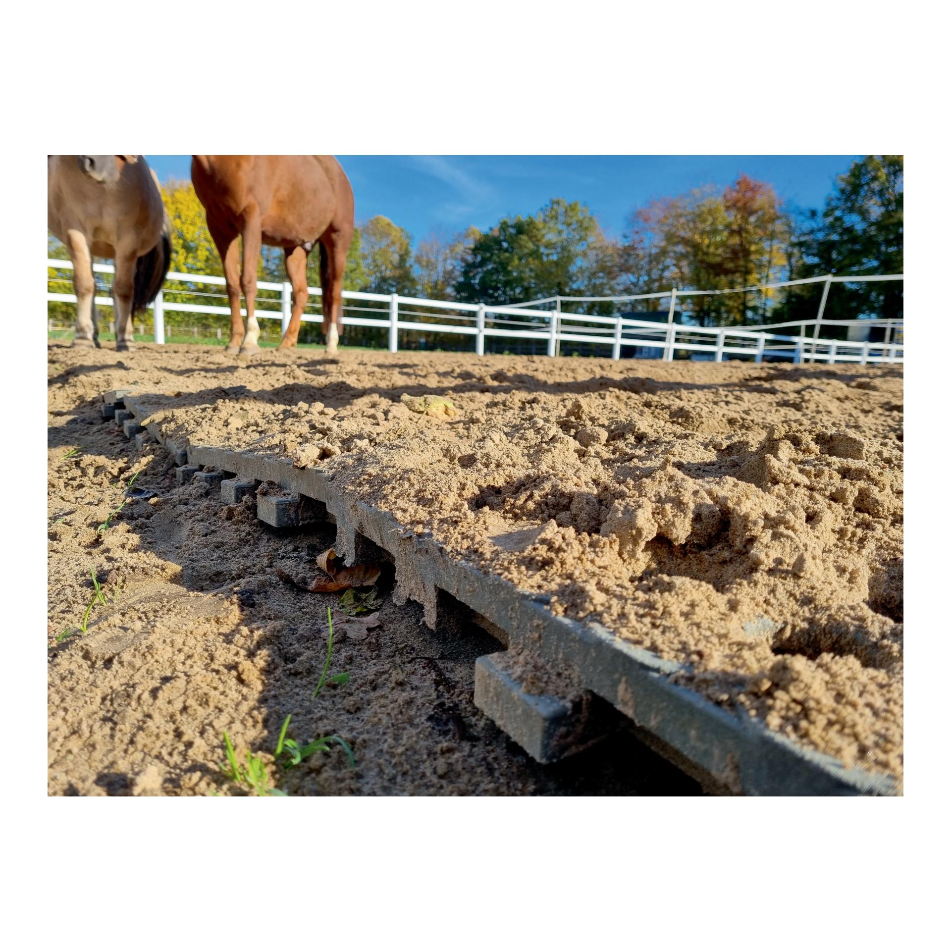 Hauptner INB Paddockplatte