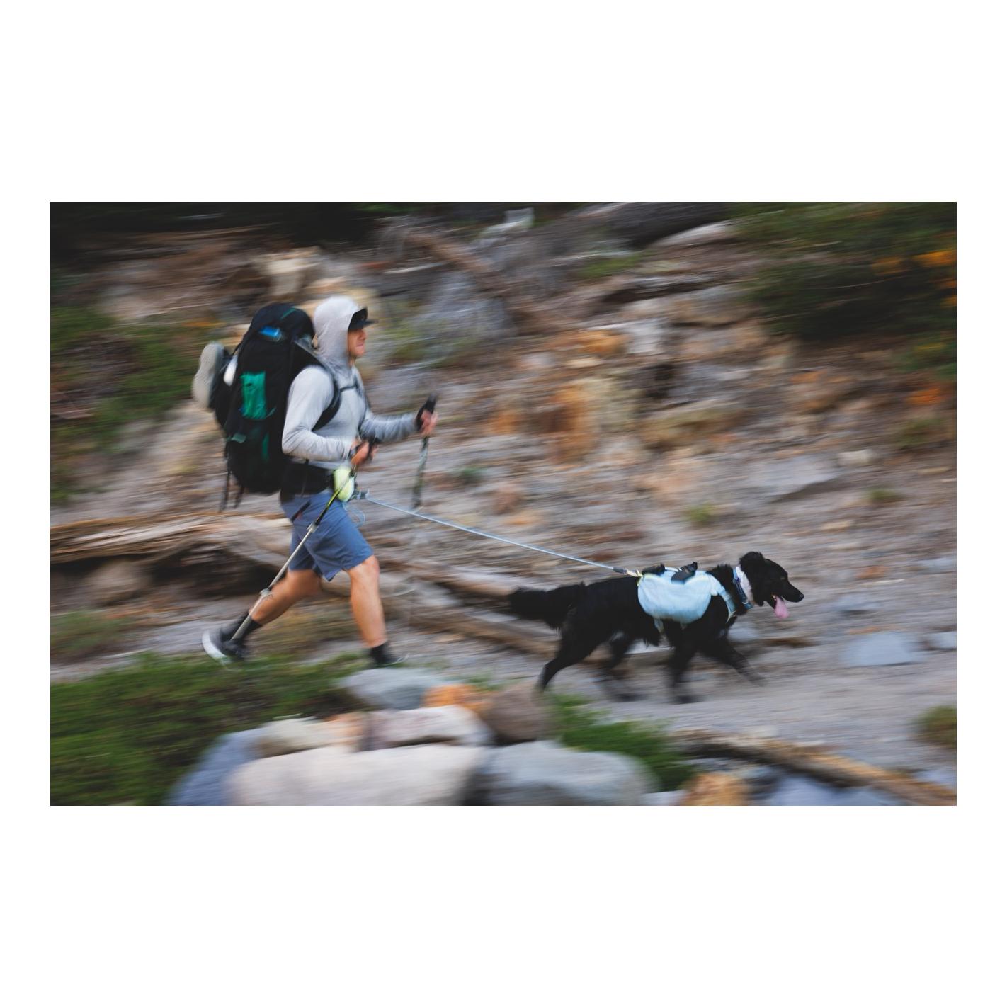 Ruffwear Hitch Hiker™ Hundeleine
