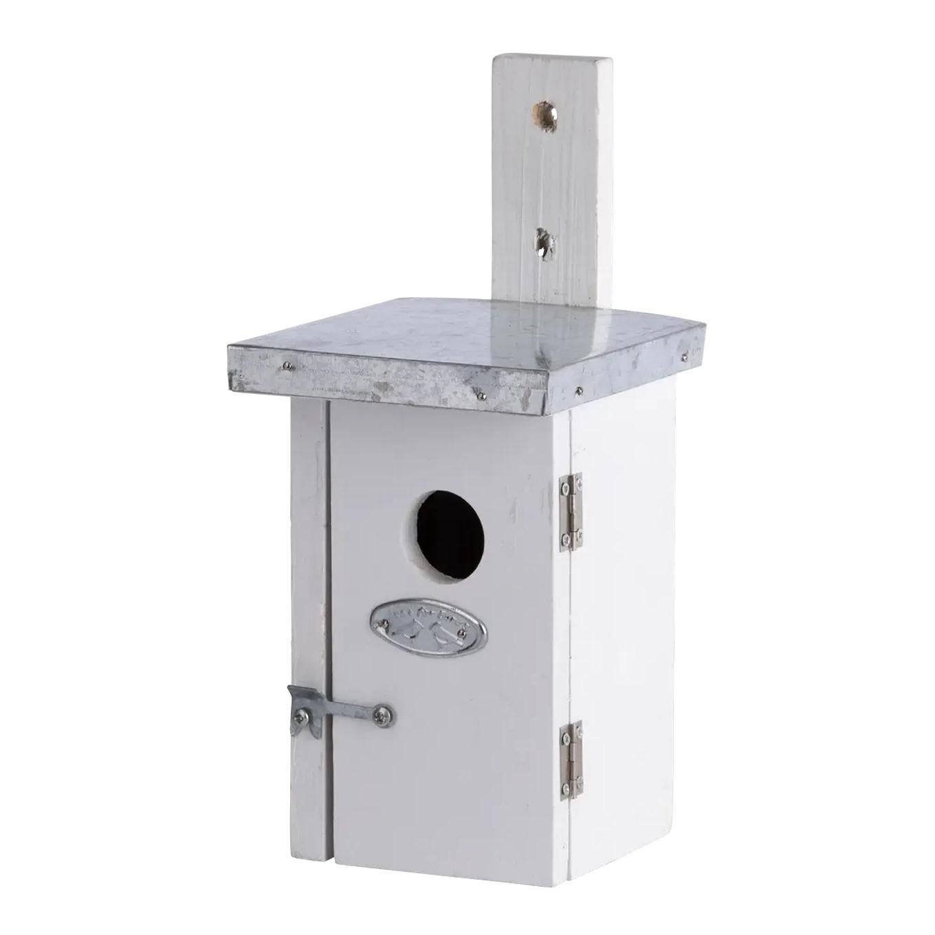 Nistkasten Zaunkönig