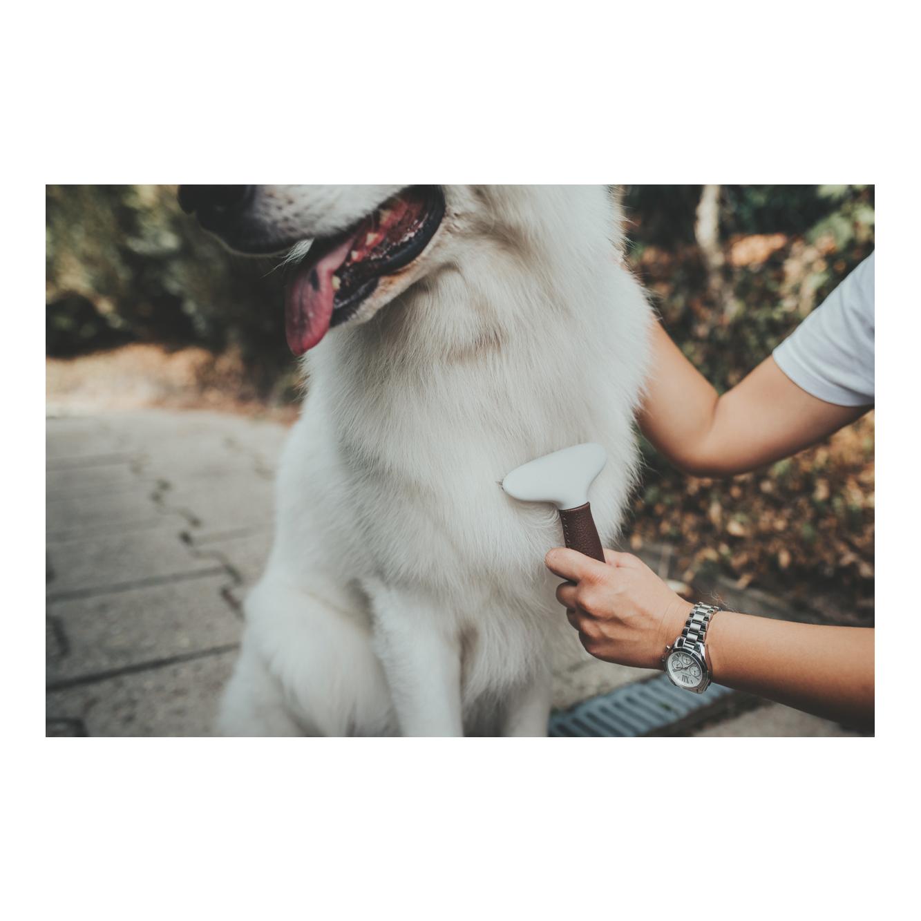 Entwirrungsstriegel zweireihig Spa