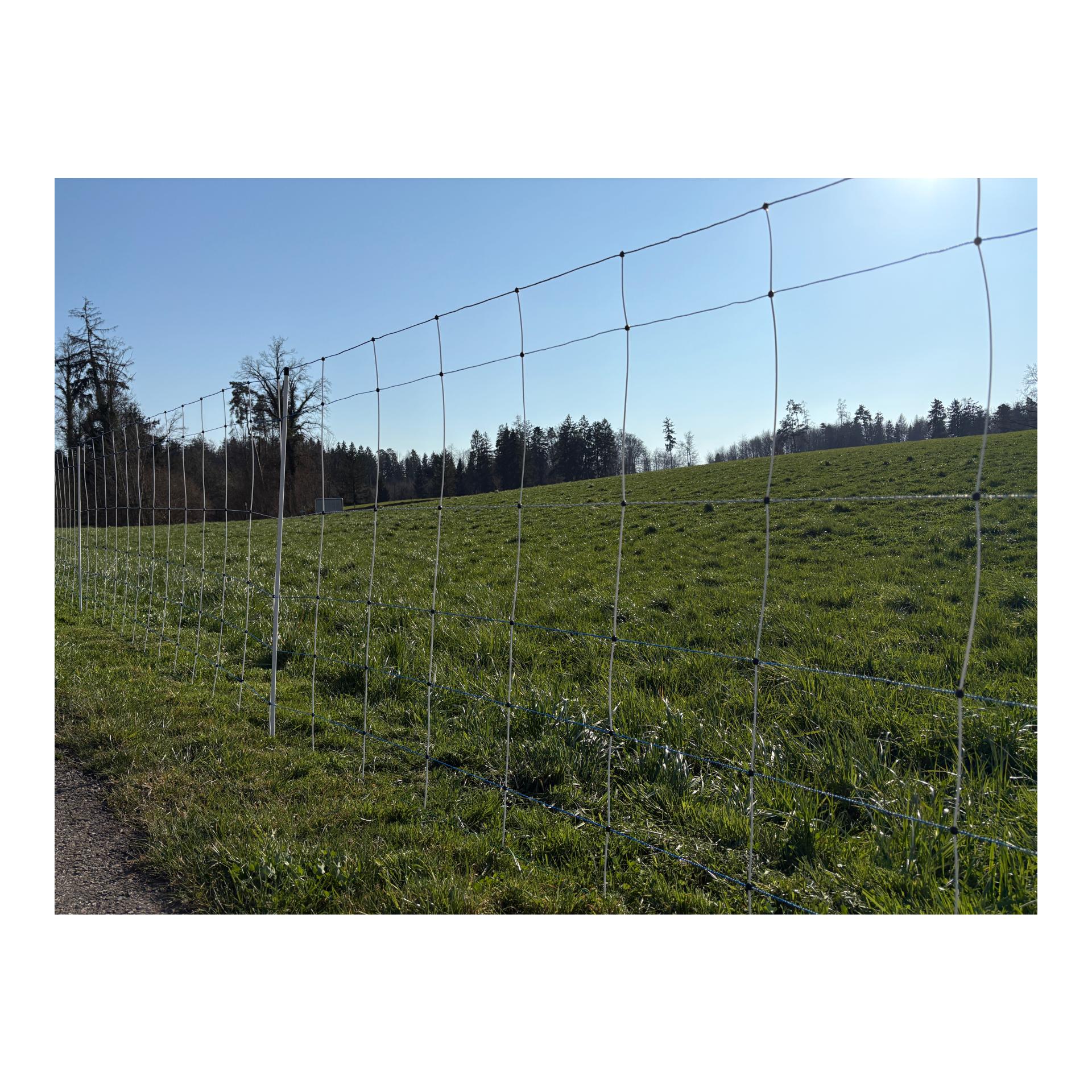 Hauptner Filet en osier "Primaflex Alpin" - pointe simple