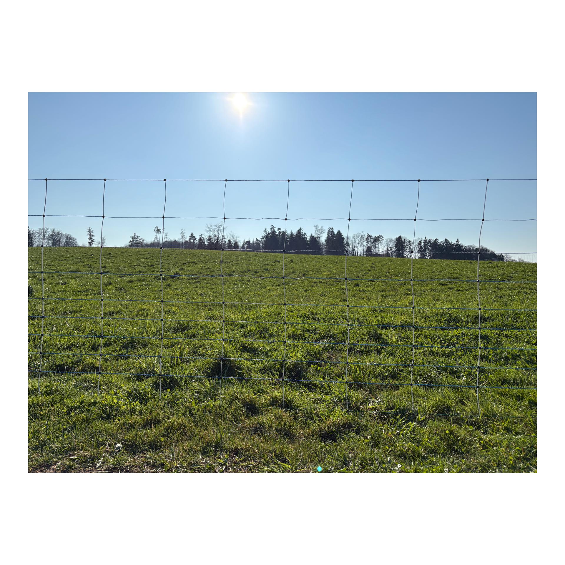 Hauptner Weidenetz Primaflex Swiss - Einzelspitz