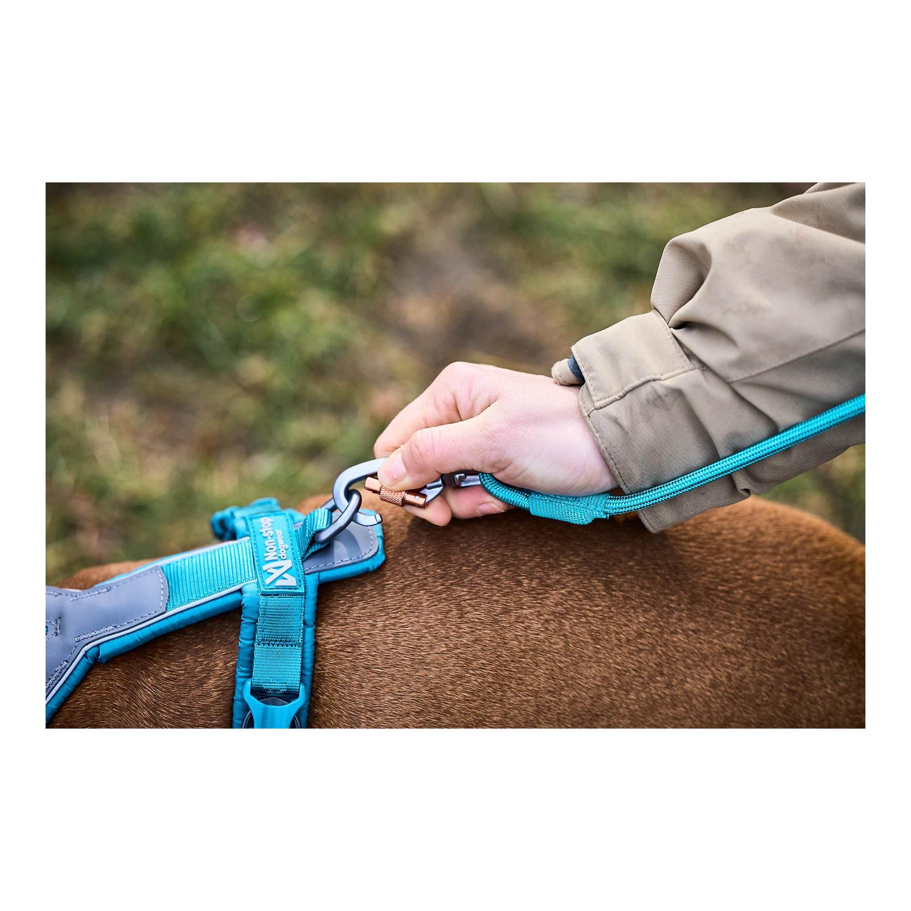 Laisse pour chien Trekking Rope Leash, 8mm