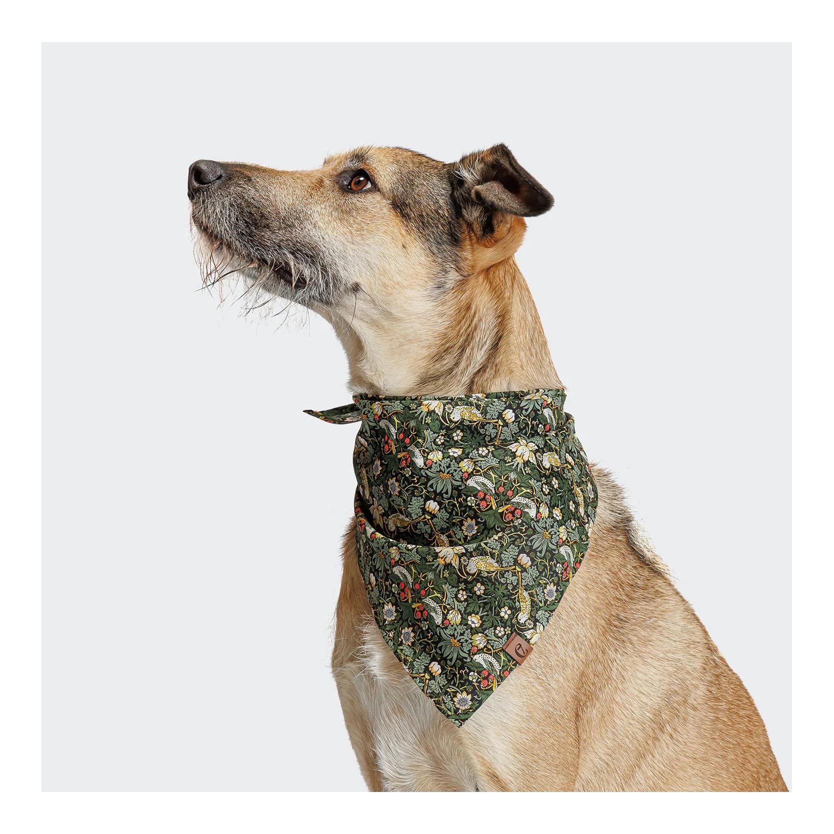 Hundehalstuch Bandana