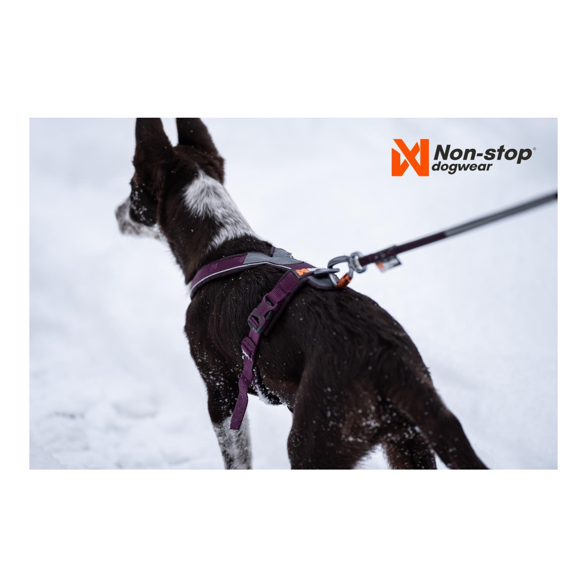 Line Harness 5.0 - purple