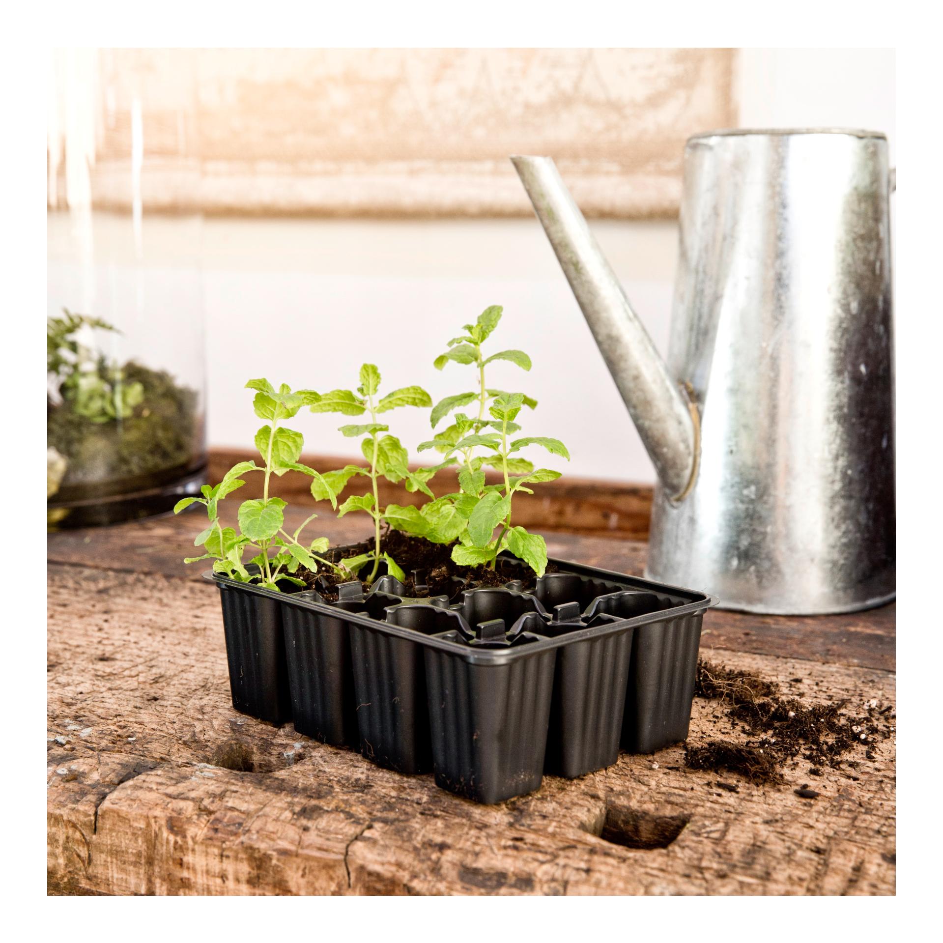 Topfplatten - schwarz